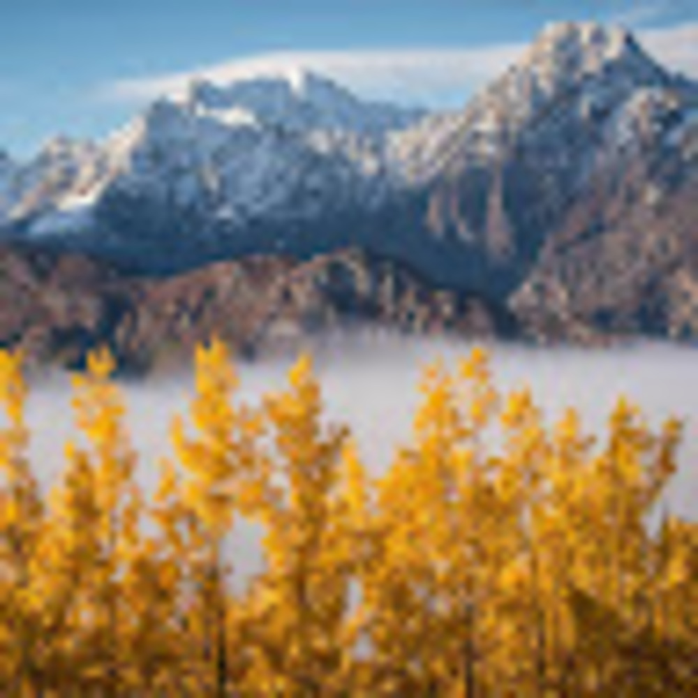 Meet your Posher, Letterstotheflock